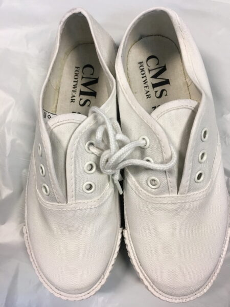 Morris Pumps