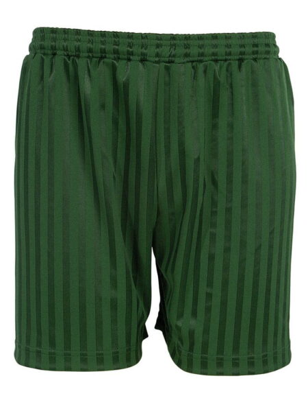 Shorts P.E